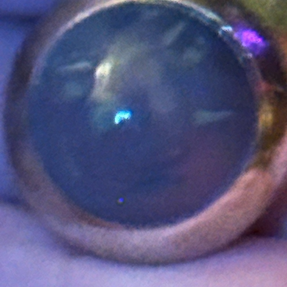 Vintage Texaco Amber Ring ❤️🐺🔥 - Picture 3 of 5